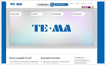 www.te-ma.ro screenshot